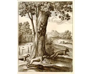 Grafika před r. 1800