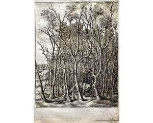 Grafika před r. 1800