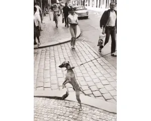 Fotografie