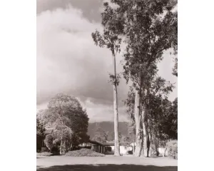 Fotografie