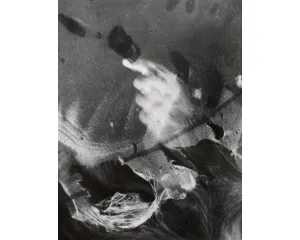 Fotografie
