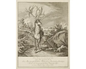 Grafika před r. 1800