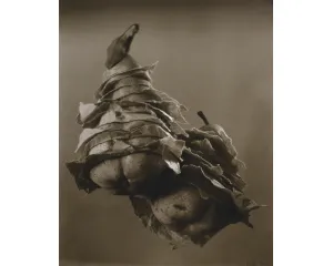 Současné umění - starší generace