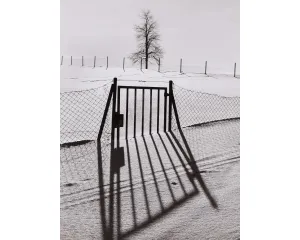 Fotografie