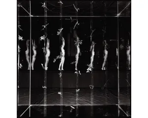 Současné umění - střední generace