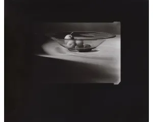 Fotografie