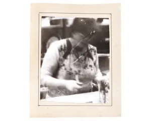 Fotografie