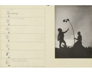 Fotografie
