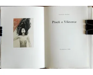 Současné umění - starší generace
