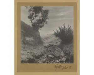 Fotografie