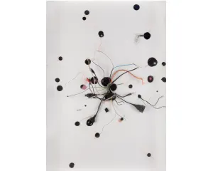 Současné umění - střední generace