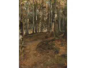 Generace Národního divadla