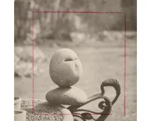 Fotografie