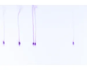 Současné umění - střední generace