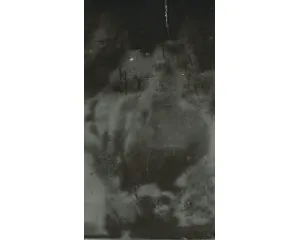 Fotografie