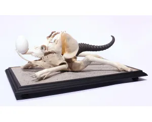 Poválečné umění