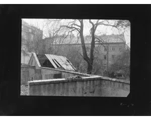 Fotografie