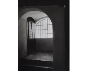 Fotografie