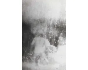 Fotografie