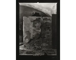 Fotografie