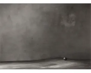 Fotografie