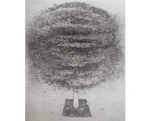 Současné umění - starší generace