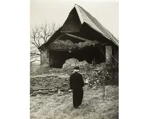 Fotografie