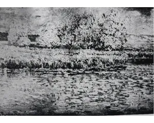 Kolik za Radimského v roce 1950?