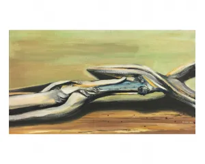 Ročenka 14 - Zklamaná očekávání? 