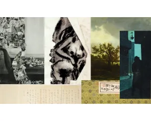 Top nárůsty první pololetí 2013