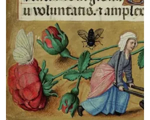 Nejdražší iluminovaný rukopis (ne)zklamal