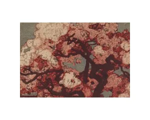 Nové číslo Art+Antiques / 2014-6