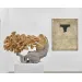 Hunt Kastner v hlavní sekci Art Basel a Trafo Gallery na Volta