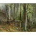Spořitelna a její fondy: ohlédnutí přes dvě staletí