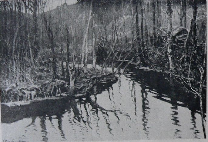 V&aacute;clav Radimsk&yacute;: Lesn&iacute; potok / olej na pl&aacute;tně / Antikva, Sp&aacute;len&aacute; 24 / listopad 1950 / vyvol&aacute;vac&iacute; cena 8 000 Kčs / konečn&aacute; cena nedochov&aacute;na
