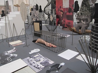 Eva Koťátková: Asyl 2013 / Fiac Paris 2013 / foto Hunt Kastner