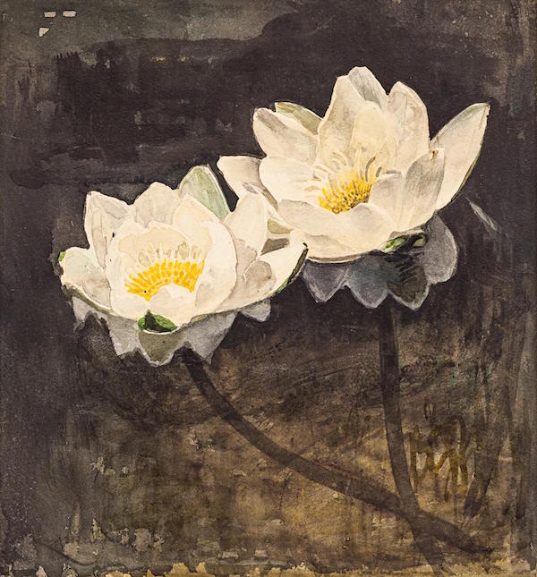 František Kupka: Lekníny