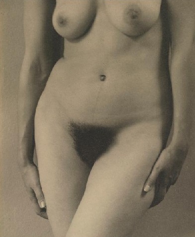 Alfred Stieglitz:Georgia O&acute;Keefee (Nude study)/ 1918 - 1919 / fotografie / 24,13 x 19 cm / cena: 365 000 USD / Sotheby's 2. 4. 2014