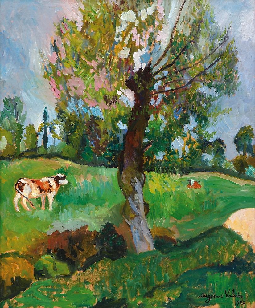  L´AULNE DANS LA PRAIRIE