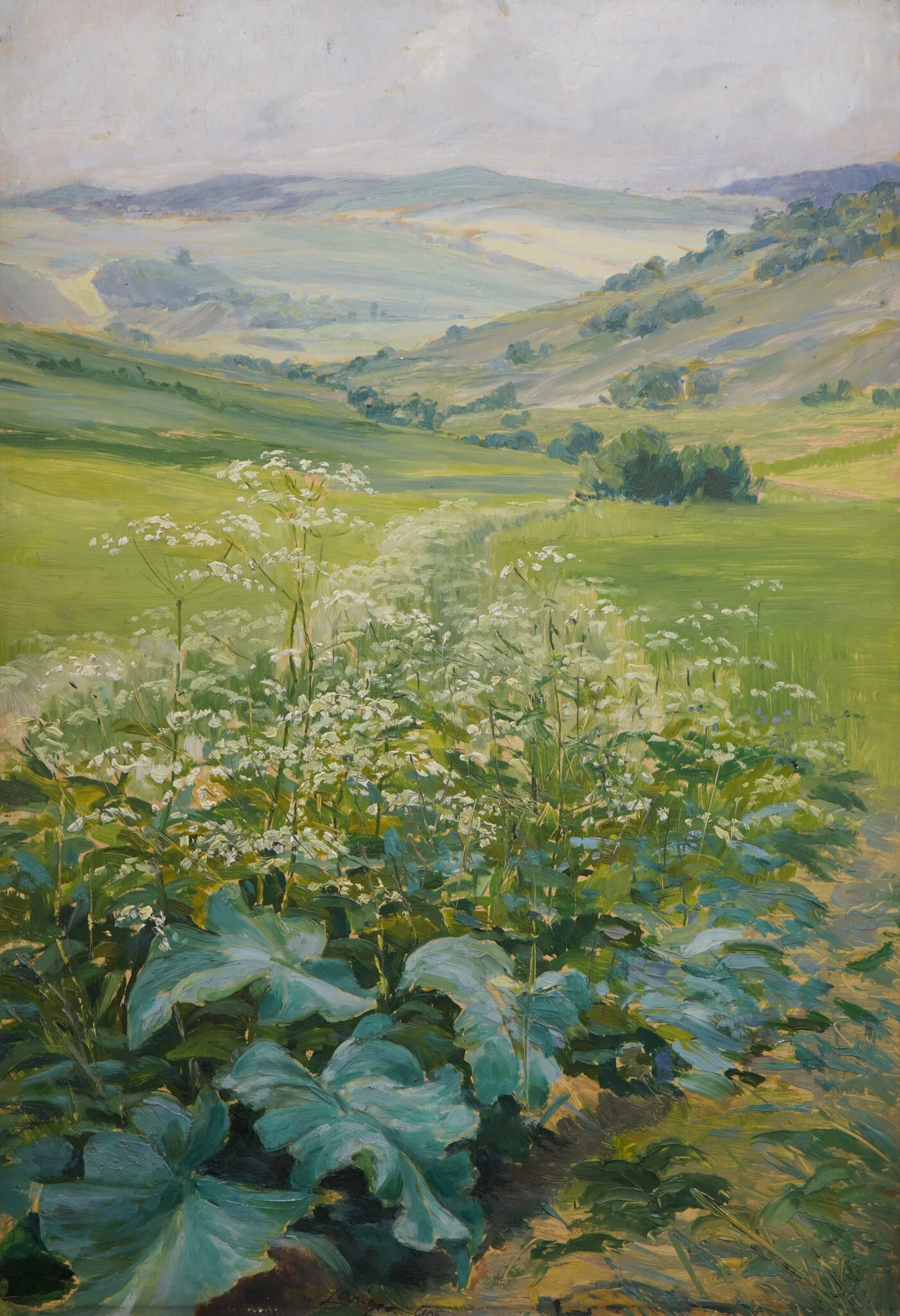 Letní podmrak